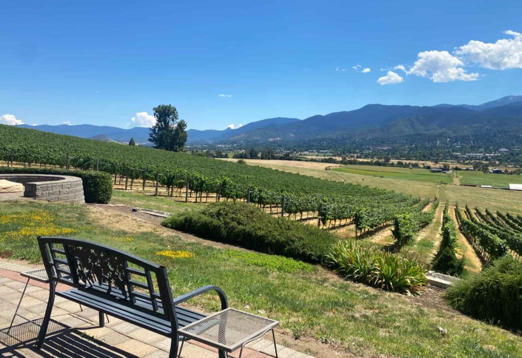 View of the valley from Dana Campbell Vineyards.