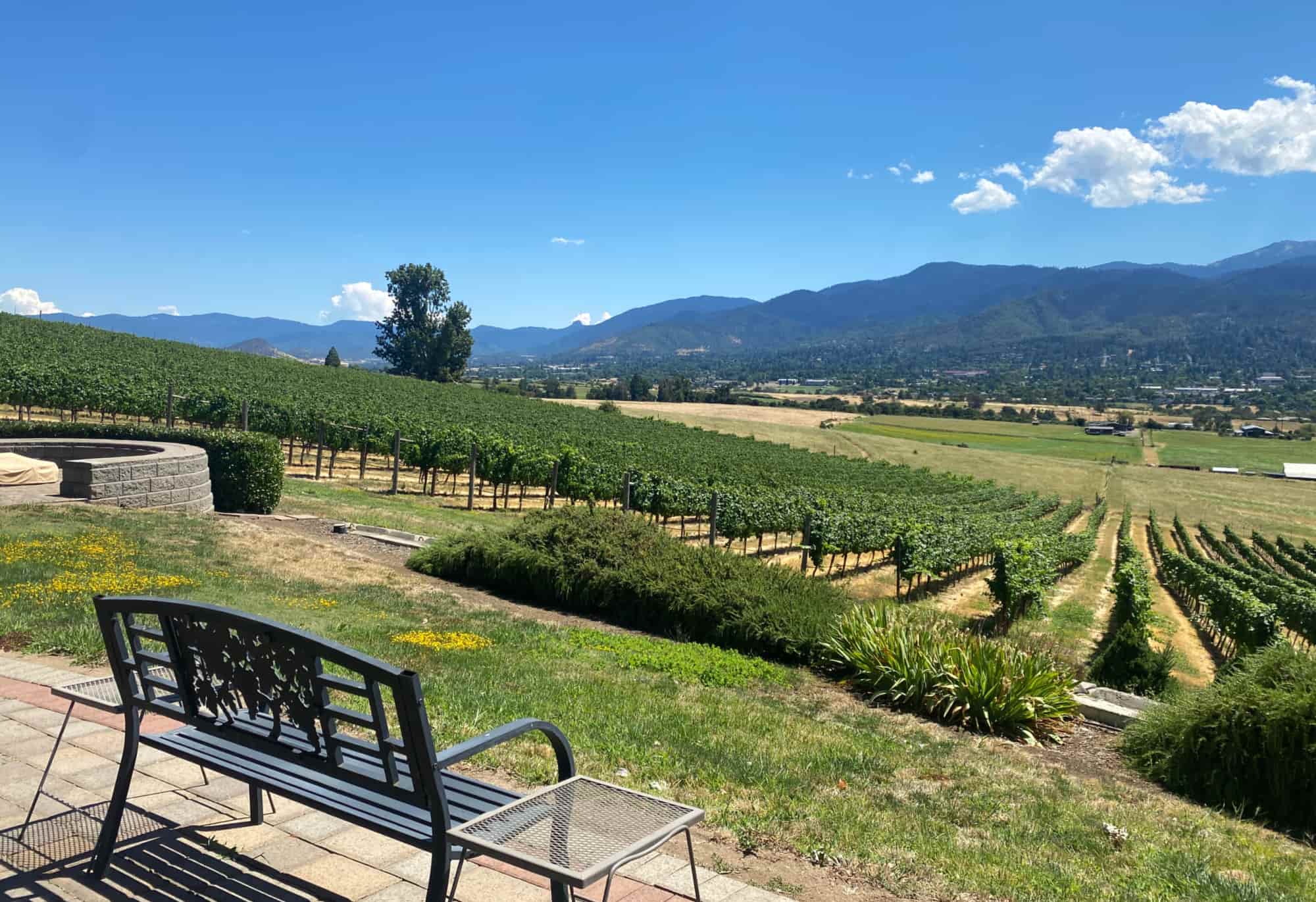 View of the valley from Dana Campbell Vineyards.